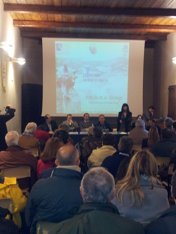 La Toscana... un mare di anni fa. Geologia e Mineralogia...